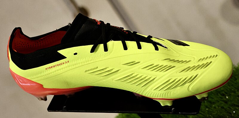 adidas Predator 24 Pro FG — the Pro tier of the 2024 generation, not the Elite flagship. Same generation, different boot.